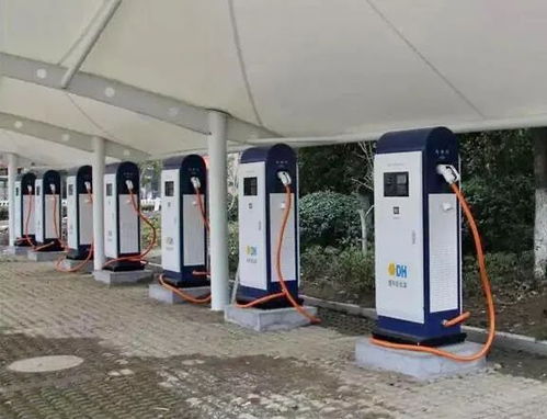 西雙版納州新能源汽車(chē)保有量9106輛 頻道頭條 西雙版納